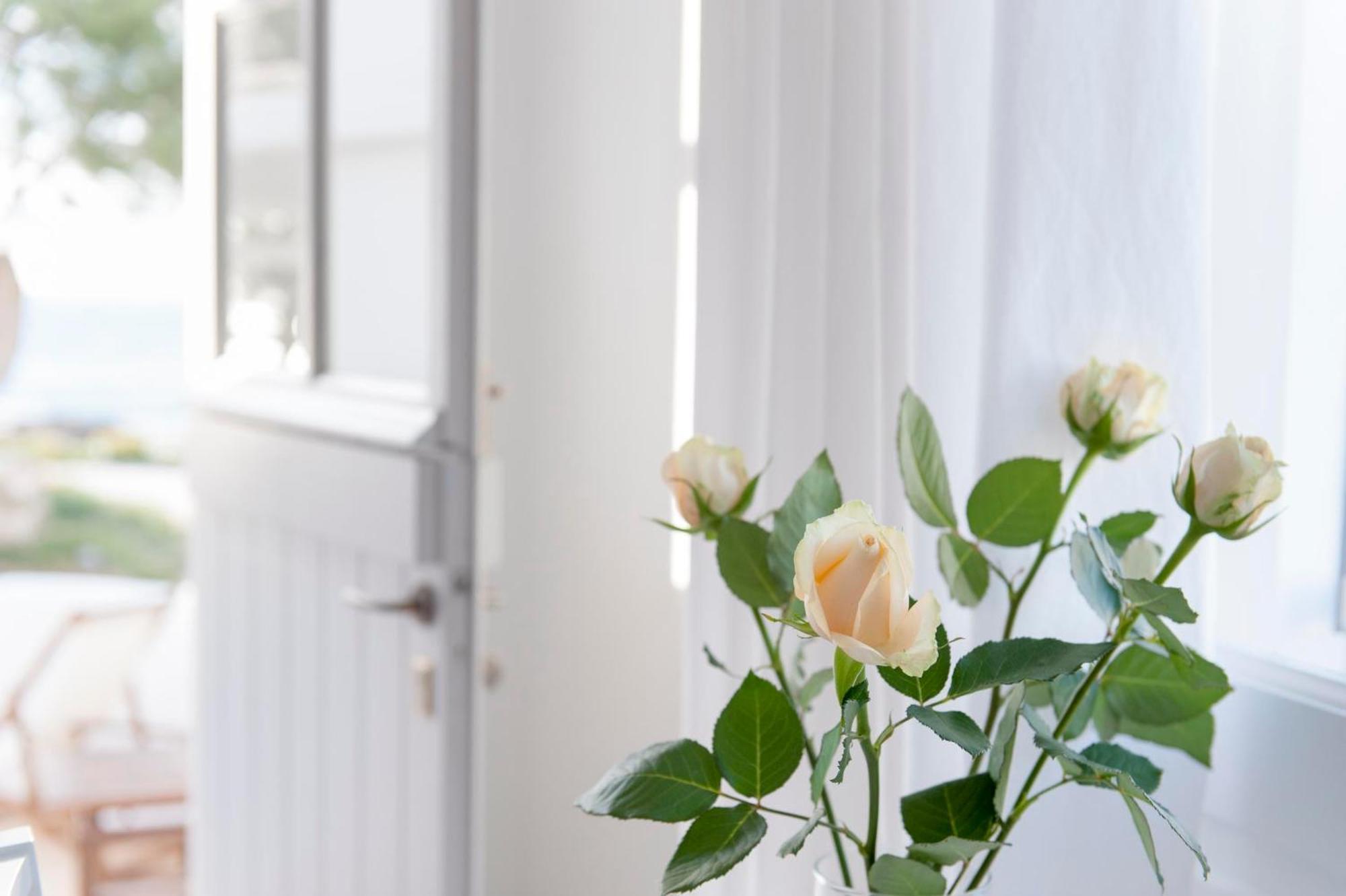 Nefeli Sunset Studios Pollonia Eksteriør bilde